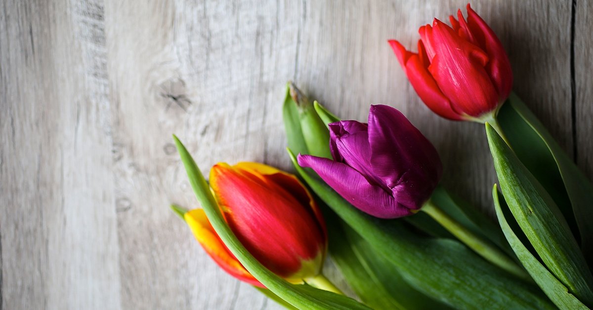 3 szálas tulipáncsokor